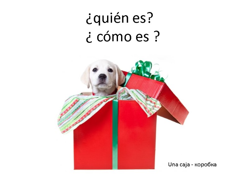 ¿quién es? ¿ cómo es ? Una caja - коробка